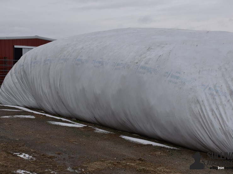wheatlage-silage-image-4