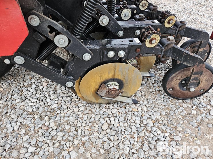 sunflower-9412-20-image-12