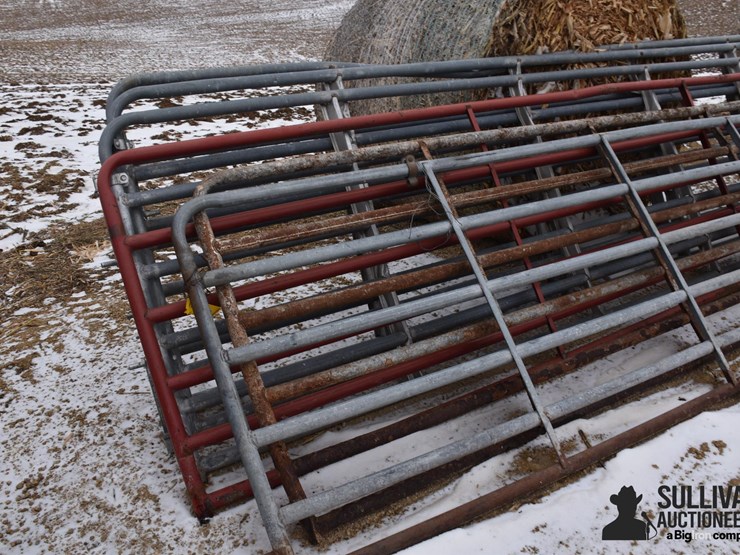 16'-cattle-gates-image-1