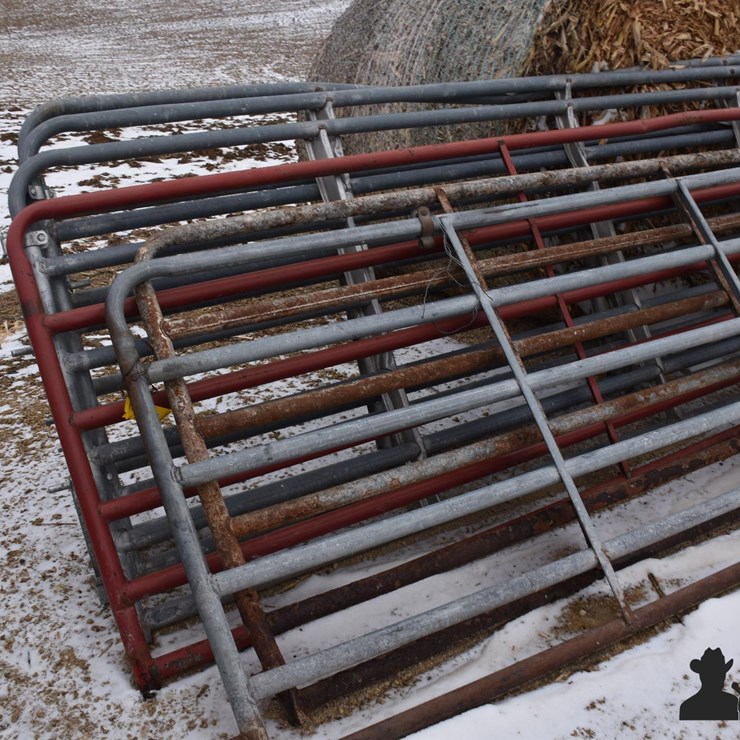 16' Cattle Gates