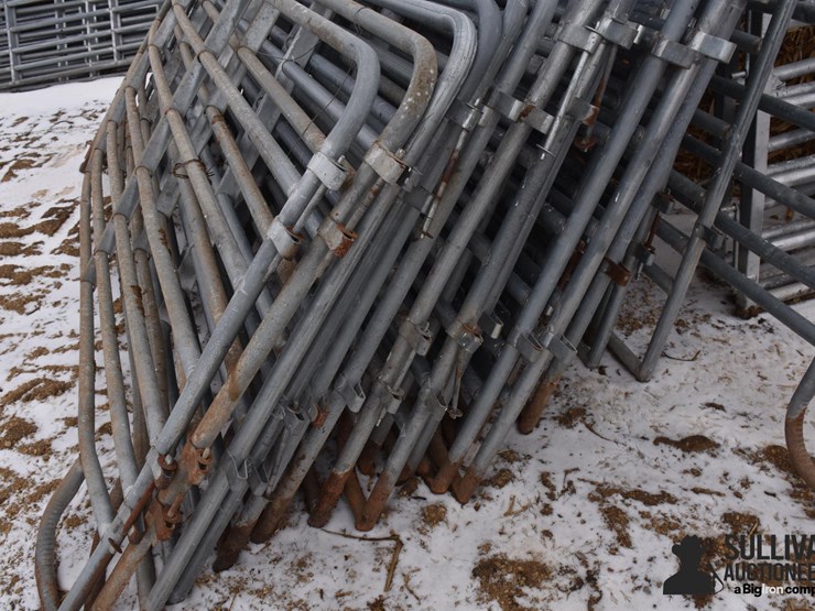 12'-cattle-gates-image-5