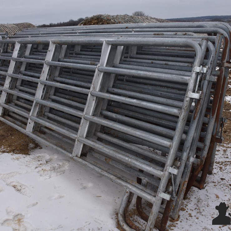 14' Cattle Gates