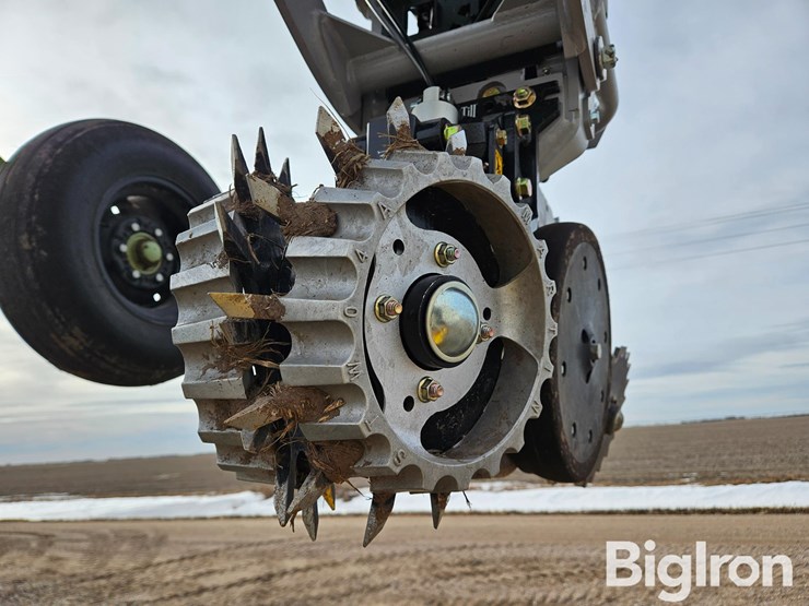 2023-international-45-image-14