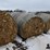 stalk-bales-(bid-per-unit)-image-1