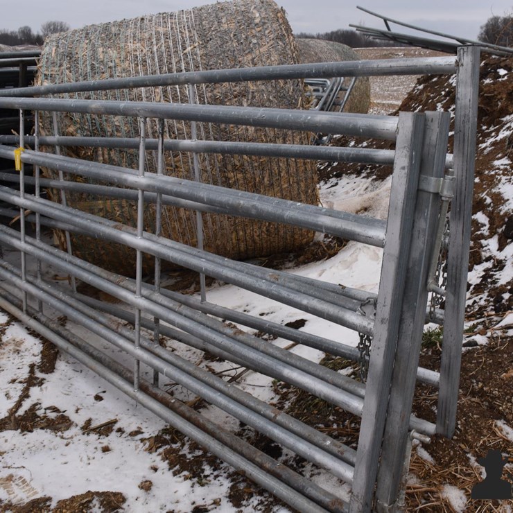 12' Cattle Gates