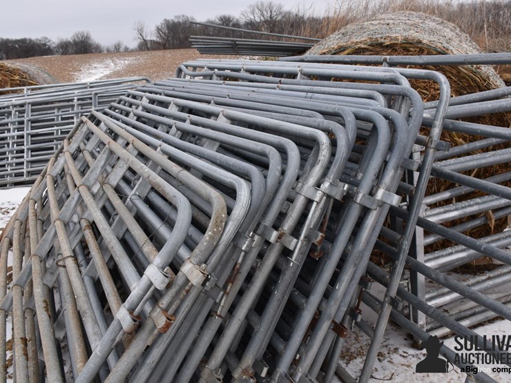 12'-cattle-gates-image-4