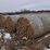 stalk-round-bales-(bid-per-unit)-image-1