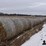 stalk-round-bales-(bid-per-unit)-image-2