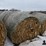 stalk-bales-(bid-per-unit)-image-3
