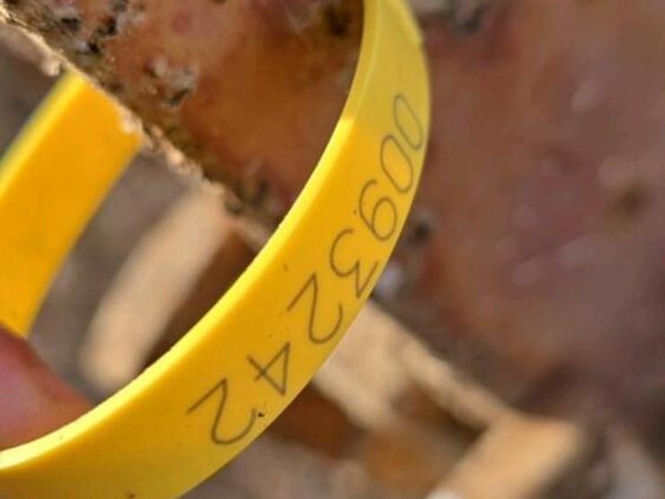 6-row-spider-cultivator-image-13