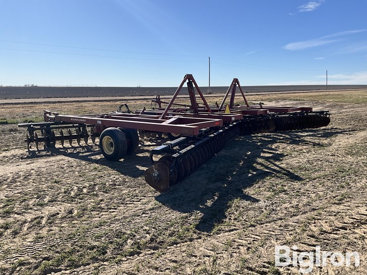 sunflower-1434-36-image-7