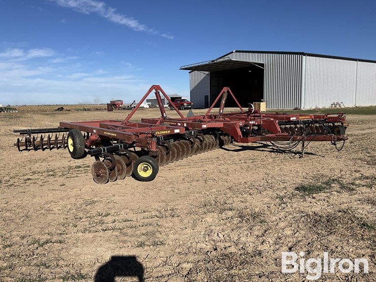 sunflower-1434-36-image-3