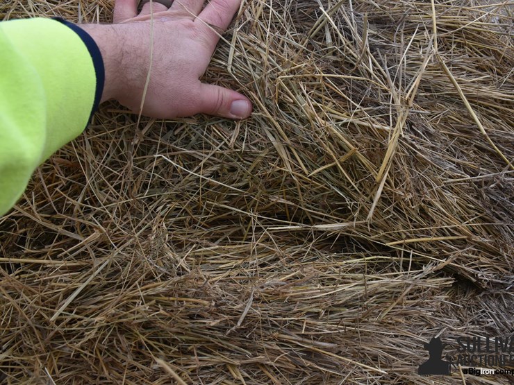 grass-hay-(bid-per-unit)-image-4