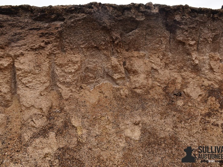 high-moisture-cracked-corn-image-1