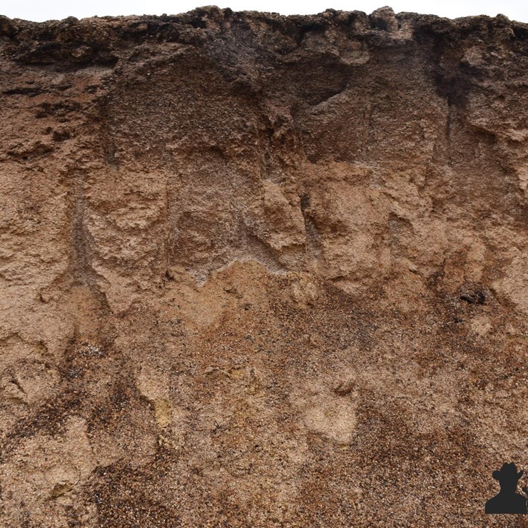 High Moisture Cracked Corn