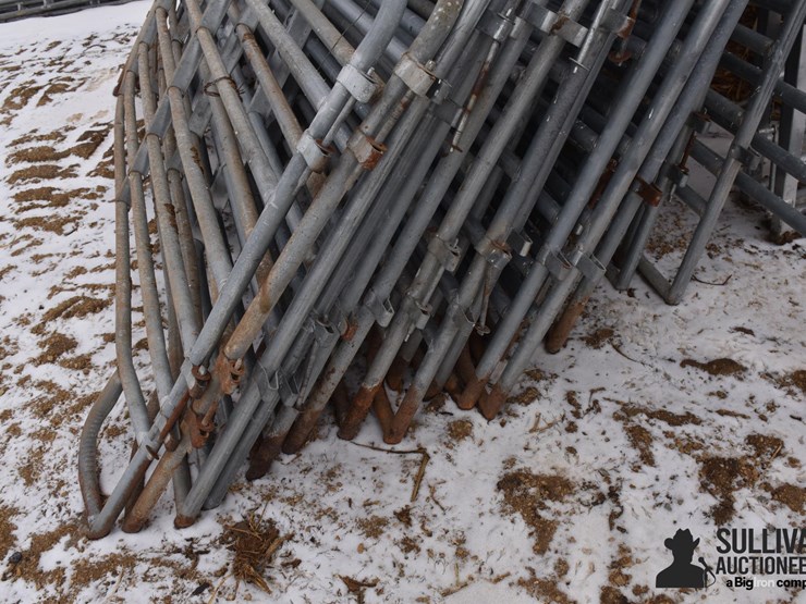 12'-cattle-gates-image-6