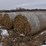 stalk-round-bales-(bid-per-unit)-image-3