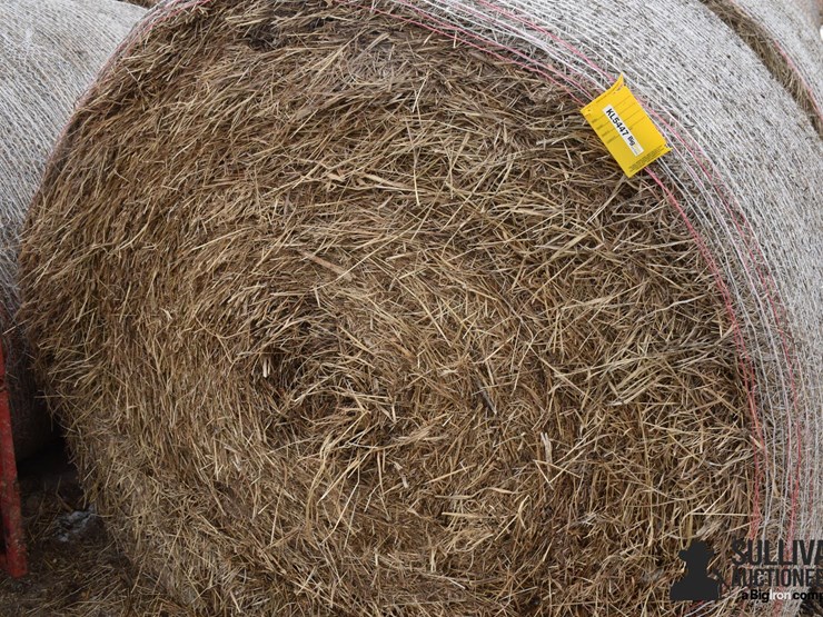 grass-hay-(bid-per-unit)-image-3