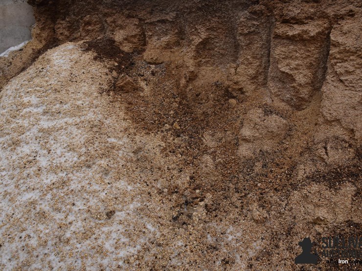 high-moisture-cracked-corn-image-4