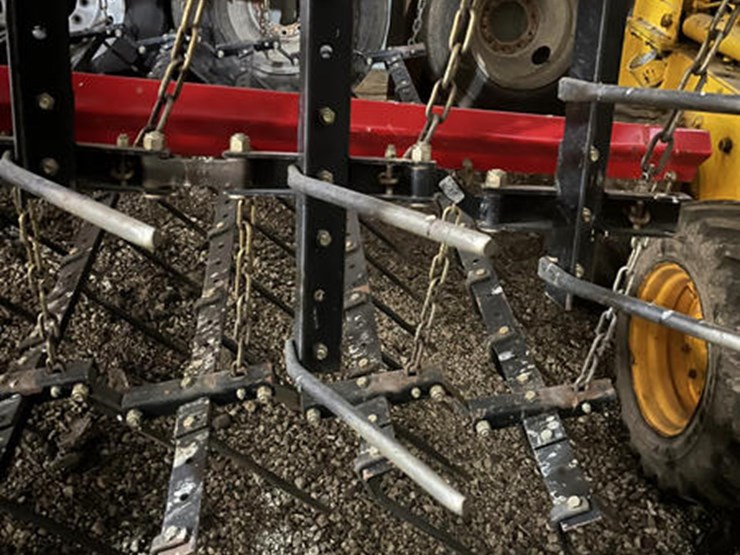 sunflower-6333-image-4