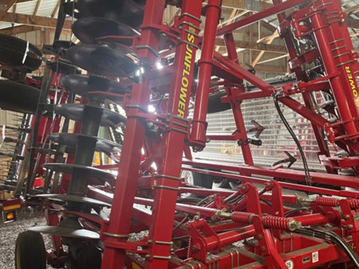 sunflower-6333-image-6