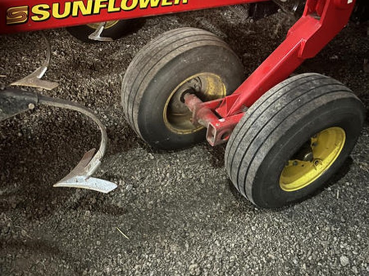 sunflower-6333-image-2