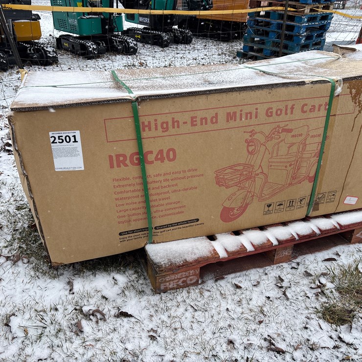 #2501 • 2025 Unused IR IRGC40 ELECTRIC TRICYCLE