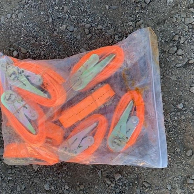 (10) Unused 1in Ratchet Straps.