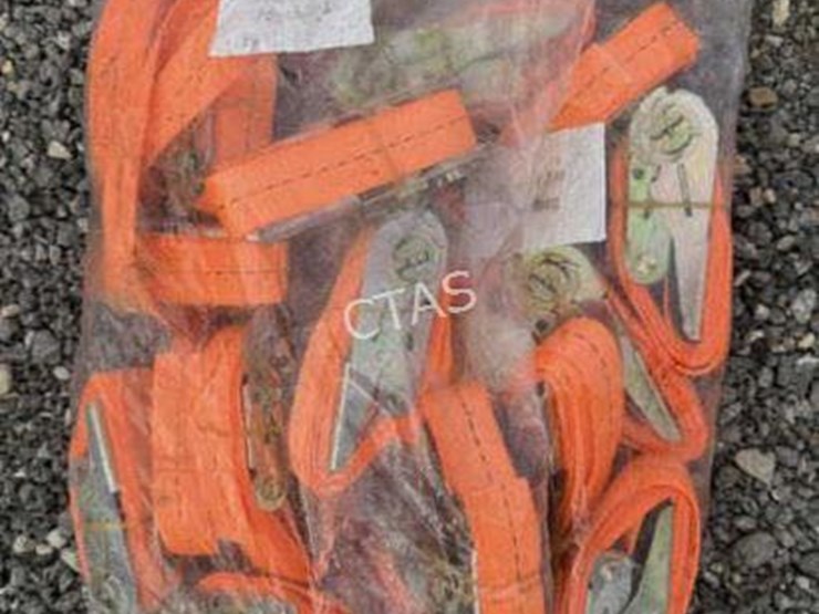 #31-•-ratchet-straps---qty:-20,-2.5cm-x-1.5m-image-1