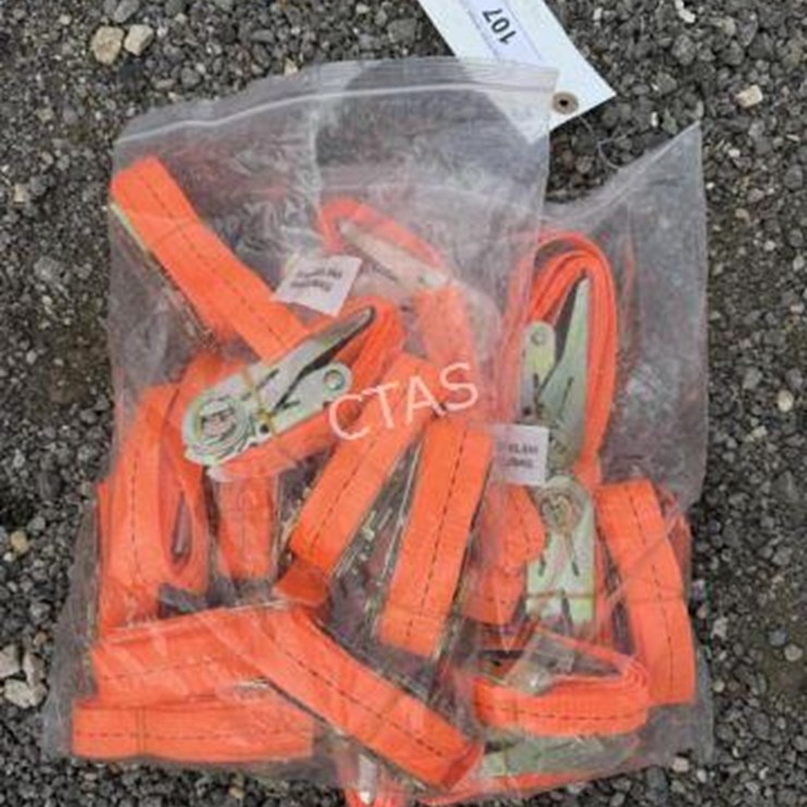 #107 • (20) Ratchet Straps - 2.5cm x 1.5m