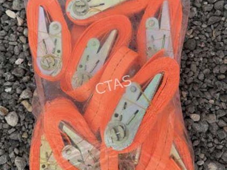#97-•-(10)-ratchet-straps---2.5cm-x-3.5m-image-1