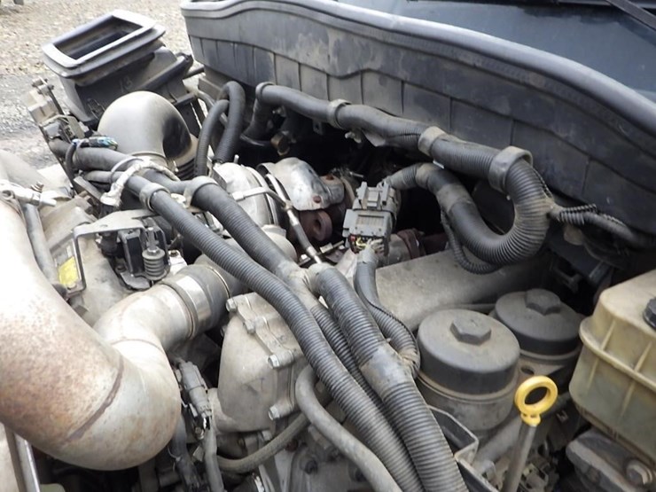 2013-international-terrastar-image-31