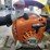 stihl-gas-tools-image-10