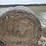 wheat-straw-round-bales-(bid-per-bale)-image-1