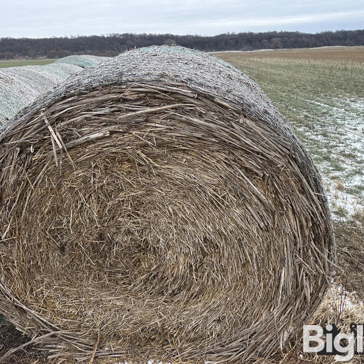 Wheat Straw Round Bales (BID PER BALE)