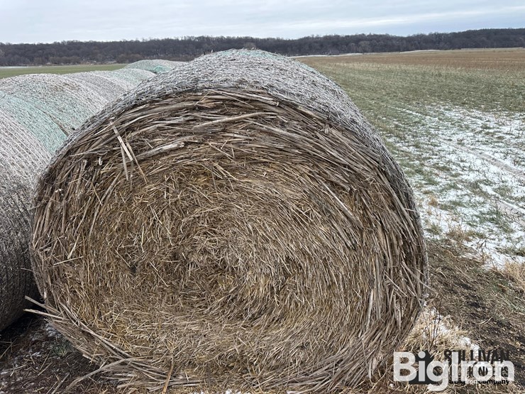 wheat-straw-round-bales-(bid-per-bale)-image-4