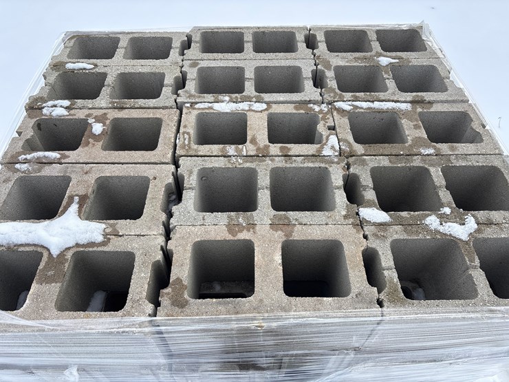 #6500-•-e1.-new-pallet-of-cinder-block-image-2