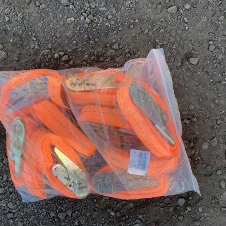 (10) Unused 1in Ratchet Straps.
