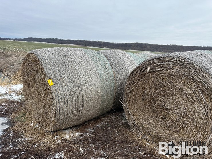 wheat-straw-round-bales-(bid-per-bale)-image-1