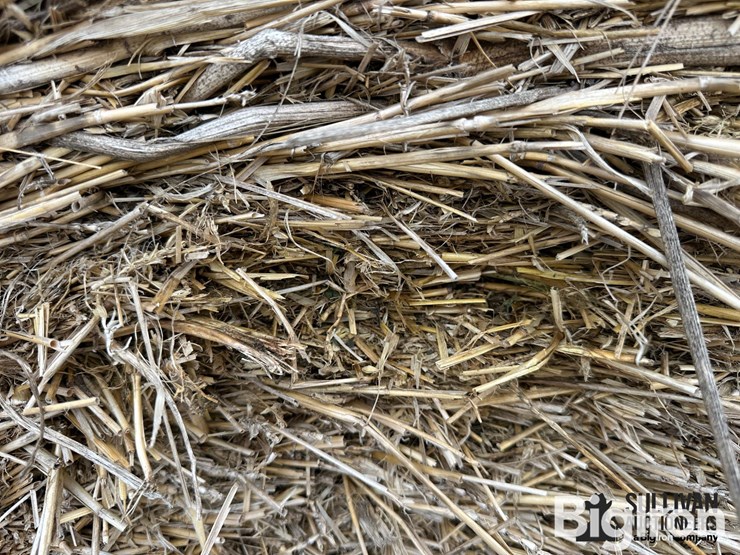 wheat-straw-round-bales-(bid-per-bale)-image-11