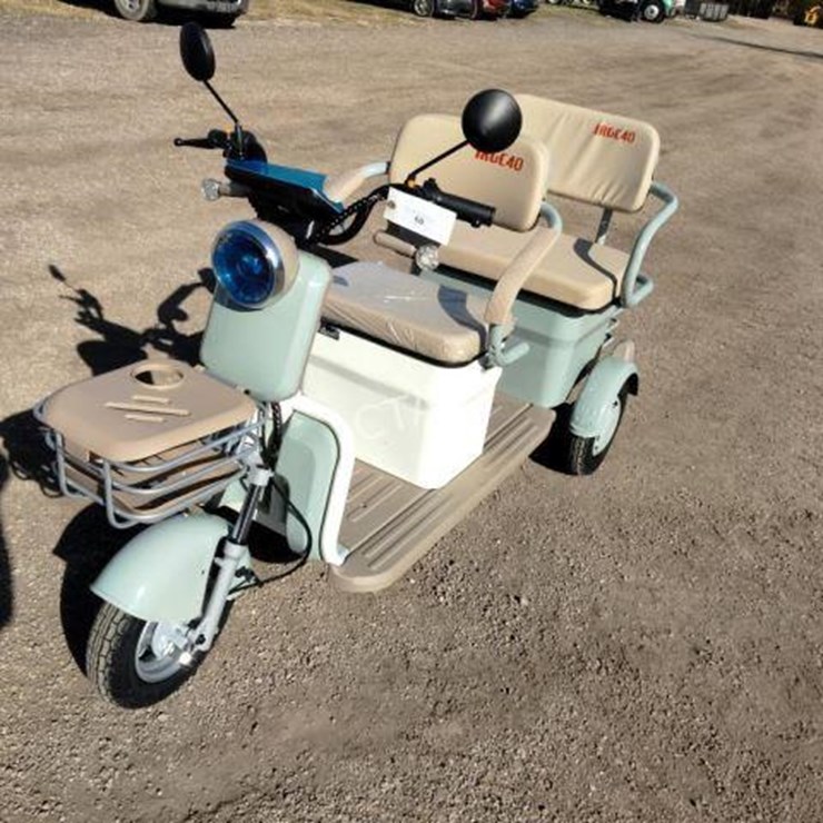 #60 • Mini 2 Seater Electric Trike Golf Cart (IRGC40)