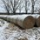 wheat-straw-round-bales-(bid-per-bale)-image-1