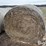wheat-straw-round-bales-(bid-per-bale)-image-2