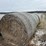 wheat-straw-round-bales-(bid-per-bale)-image-6