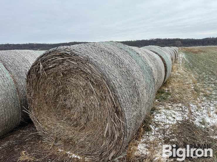wheat-straw-round-bales-(bid-per-bale)-image-6