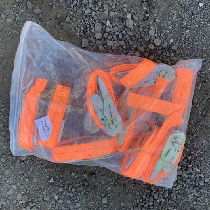 (10) Unused 1in Ratchet Straps.