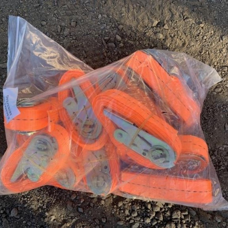 (10) Unused 1in Ratchet Straps.