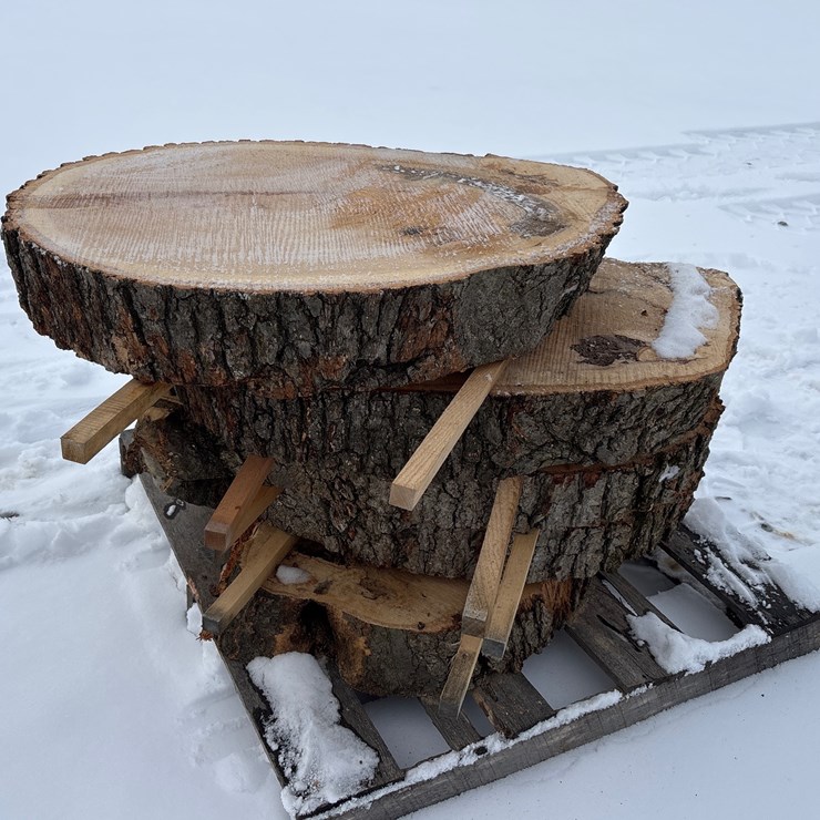 #6508 • E1. 4” oak slabs