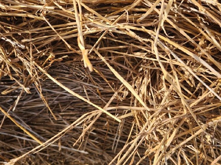 wheat-straw-(bid-per-unit)-image-2