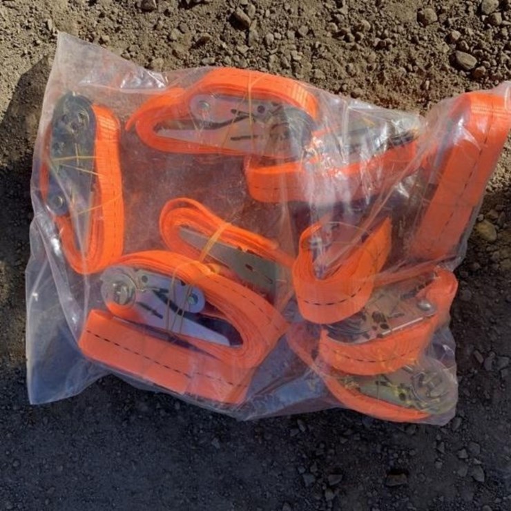 (10) Unused 1in Ratchet Straps.
